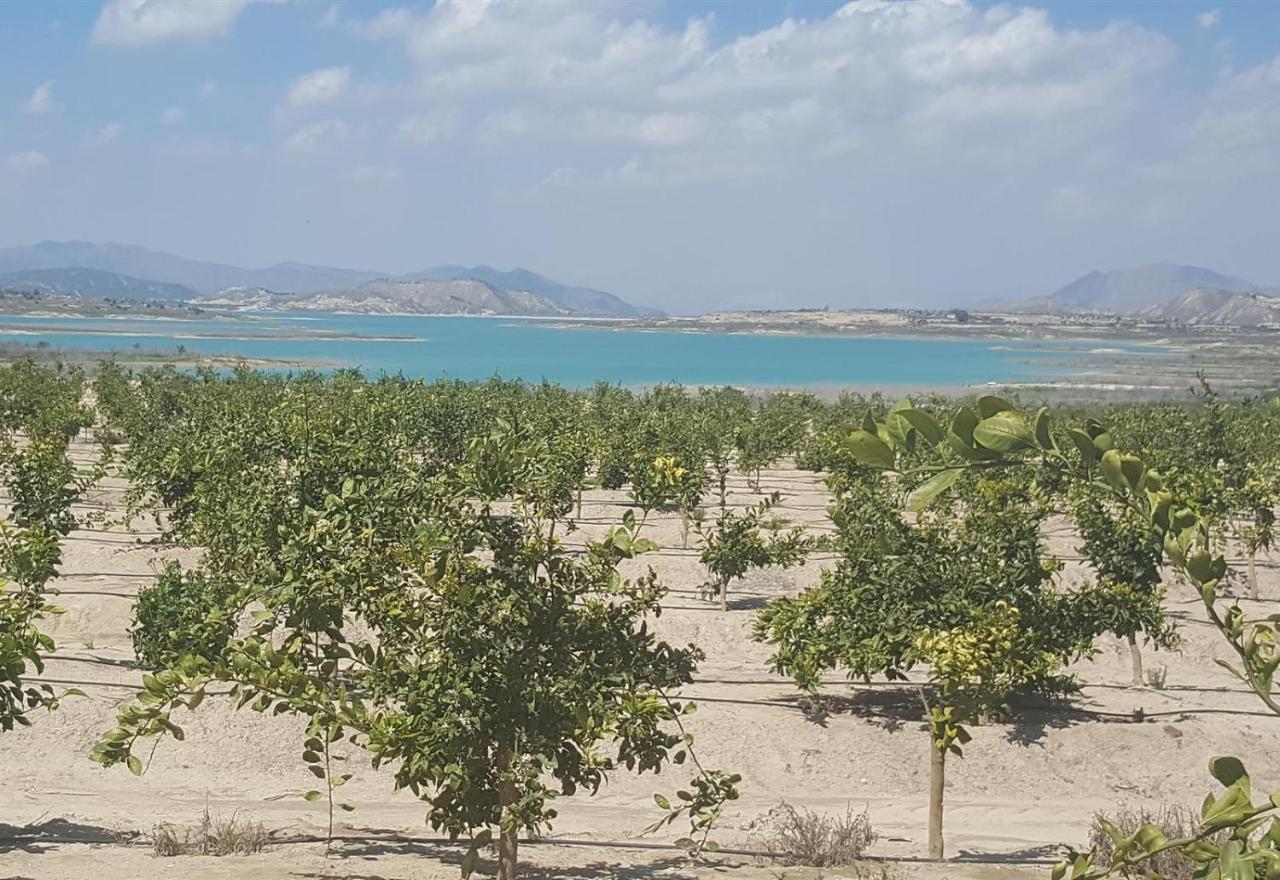Very Nice Apartment With See Views Dehesa de Campoamor  Extérieur photo